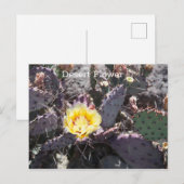 Carte Postale Fleur de cactus jaune au printemps (Devant / Derrière)
