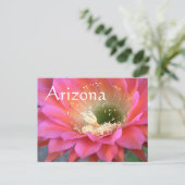 Carte Postale Fleur de cactus rose dans le désert (Debout devant)