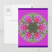 Carte Postale Fleur de cactus roses (Devant / Derrière)
