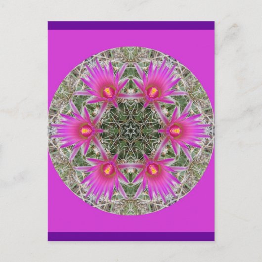 Carte Postale Fleur de cactus roses (Devant)