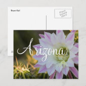 Carte Postale Fleur de cactus violet et blanc, Arizona (Devant / Derrière)