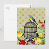 Carte Postale Fleur de cage d'oiseaux Vintage (Devant / Derrière)