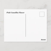 Carte Postale Fleur de Camelia rose (Dos)