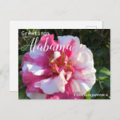 Carte Postale Fleur de Camellia Alabama (Devant / Derrière)