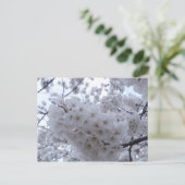 Carte Postale Fleur de cerise (Debout devant)