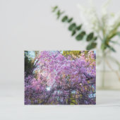 Carte Postale Fleur de cerise (Debout devant)