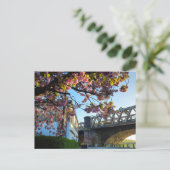 Carte Postale Fleur de cerisier (Debout devant)