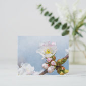 Carte Postale Fleur de cerisier (Debout devant)