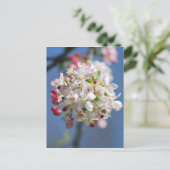 Carte Postale Fleur de cerisier et sens (Debout devant)