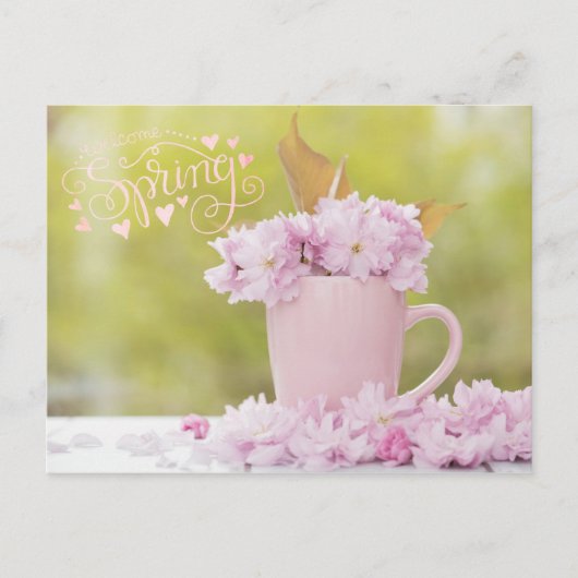Carte Postale Fleur de cerisier Floral Stilllife Printemps Texte (Devant)