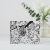 Carte Postale Fleur de cerisier japonaise et lanterne (Debout devant)