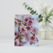 Carte postale Fleur de cerisier rose (Debout devant)