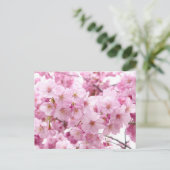 Carte Postale Fleur de cerisiers (Debout devant)