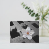 Carte Postale Fleur de cerisiers et acier (Debout devant)