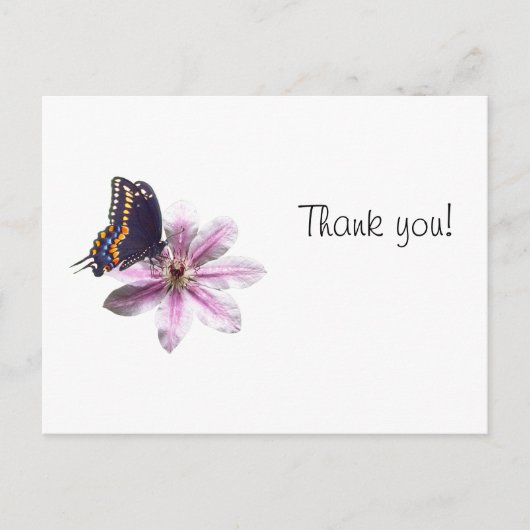 Carte Postale Fleur de Clematis et papillon noir à queue noire (Devant)