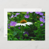 Carte Postale Fleur de cône blanc, fleurs violettes et papillon  (Devant / Derrière)