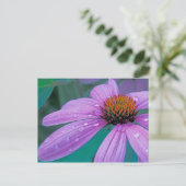 Carte Postale Fleur de cône pourpre avec gouttes d'eau (Debout devant)