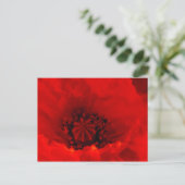 Carte Postale Fleur de coquelicot (Debout devant)
