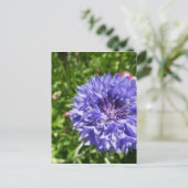 Carte Postale Fleur de corail bleu (Debout devant)