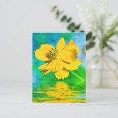 Carte Postale Fleur de cosmos orange au-dessus de l'eau (Debout devant)