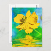 Carte Postale Fleur de cosmos orange au-dessus de l'eau (Devant / Derrière)