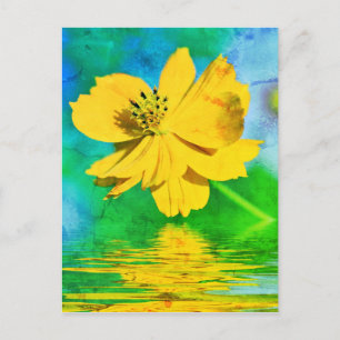 Carte Postale Fleur de cosmos orange au-dessus de l'eau