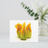 Carte Postale Fleur de courgette jaune (Debout devant)