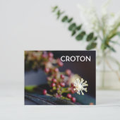 Carte Postale Fleur de Croton (Debout devant)