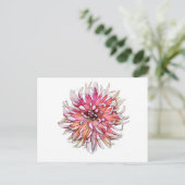CARTE POSTALE FLEUR DE DAHLIA (Debout devant)