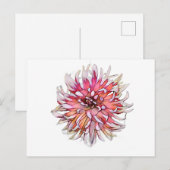 CARTE POSTALE FLEUR DE DAHLIA (Devant / Derrière)