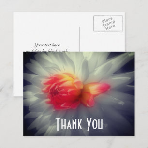 Carte Postale Fleur de Dahlia de couleur partielle Merci