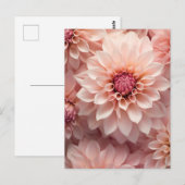 Carte Postale fleur de dahlia de couleur pastel doux (Devant / Derrière)