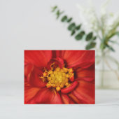 Carte Postale Fleur de Dahlia Orange (Debout devant)