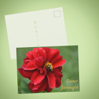 Fleur de dahlia rouge et abeille à bourdonnement p
