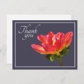 Carte Postale Fleur de Dahlia Rouge Fond Gris Merci (Devant / Derrière)
