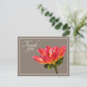Carte Postale Fleur de Dahlia Rouge Fond Taupe Merci (Debout devant)