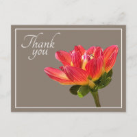 Fleur de Dahlia Rouge Fond Taupe Merci
