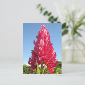 Carte Postale Fleur de flamme (verticale) (Debout devant)