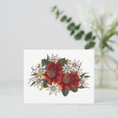 Carte Postale Fleur de flanelle de Warratha (Debout devant)