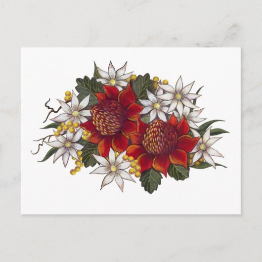 Carte Postale Fleur de flanelle de Warratha (Devant)