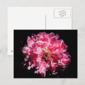Carte Postale Fleur de fleur de fleur de pêche (Devant / Derrière)