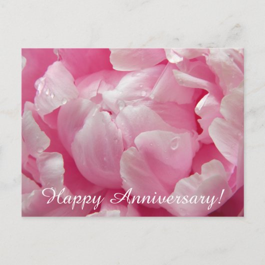 Carte Postale Fleur de floraison romane rose de pivoine avec des (Devant)