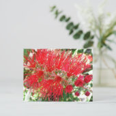 Carte Postale Fleur de fond Rouge Tropical Floral (Debout devant)