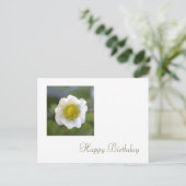 Carte Postale fleur de fraise blanche heureux (Debout devant)