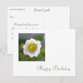 Carte Postale fleur de fraise blanche heureux (Devant / Derrière)