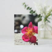 Carte Postale Fleur de fraise rose Photo (Debout devant)