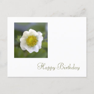 Carte Postale fleur de fraisier blanche joyeux anniversaire