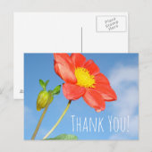 Carte Postale Fleur de fraisier Merci (Devant / Derrière)