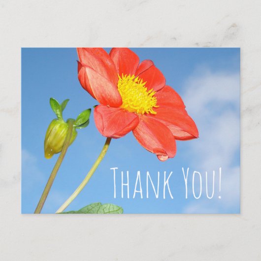 Carte Postale Fleur de fraisier Merci (Devant)