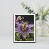 Carte Postale Fleur de fruit de la passion pourpre (Debout devant)